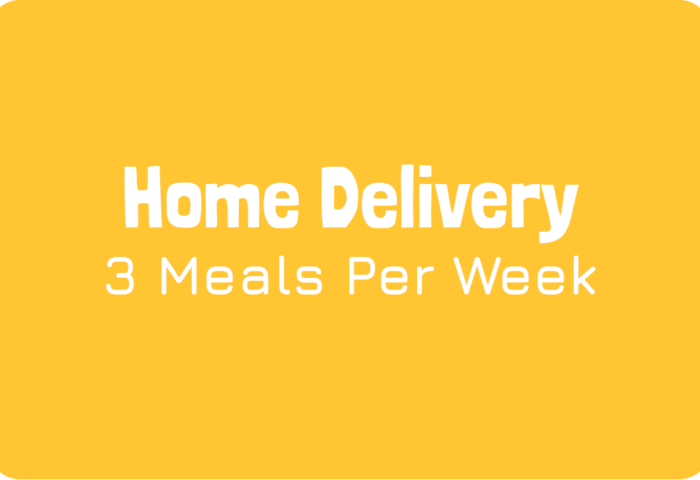 3 Meals Per Week Home Delivery Plan